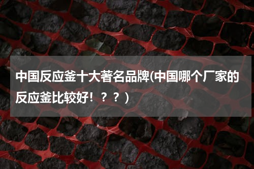 中国反应釜十大著名品牌(中国哪个厂家的反应釜比较好！？？)