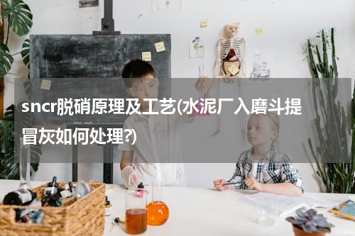 sncr脱硝原理及工艺(水泥厂入磨斗提冒灰如何处理?)