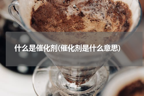 什么是催化剂(催化剂是什么意思)