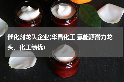催化剂龙头企业(华昌化工 氢能源潜力龙头，化工绩优)