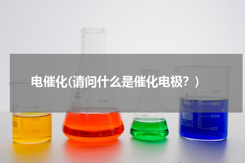 电催化(请问什么是催化电极？)