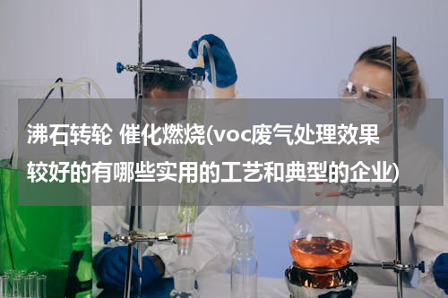 沸石转轮 催化燃烧(voc废气处理效果较好的有哪些实用的工艺和典型的企业)