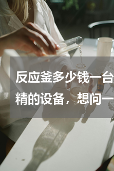 反应釜多少钱一台(我想求够一套生产洗洁精的设备，想问一下需要多少钱。)