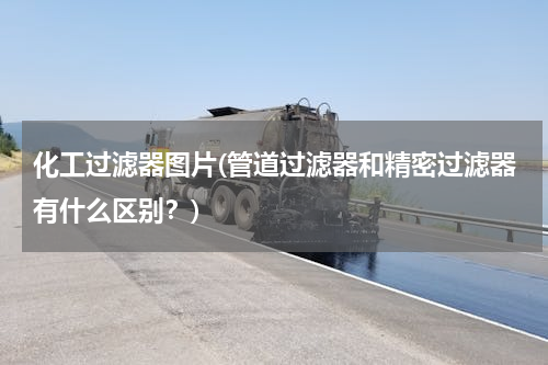 化工过滤器图片(管道过滤器和精密过滤器有什么区别？)
