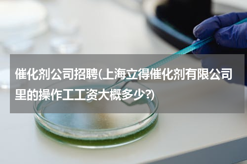 催化剂公司招聘(上海立得催化剂有限公司里的操作工工资大概多少?)