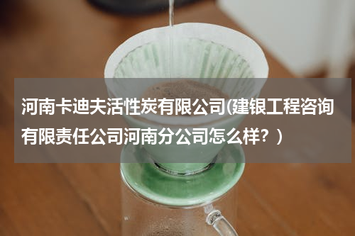 河南卡迪夫活性炭有限公司(建银工程咨询有限责任公司河南分公司怎么样？)