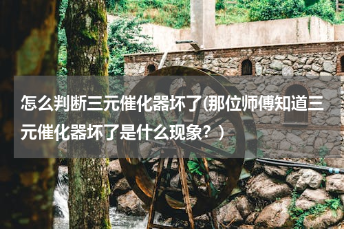 怎么判断三元催化器坏了(那位师傅知道三元催化器坏了是什么现象？)