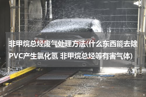 非甲烷总烃废气处理方法(什么东西能去除PVC产生氯化氢 非甲烷总烃等有害气体)