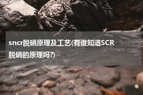 sncr脱硝原理及工艺(有谁知道SCR脱硝的原理吗?)