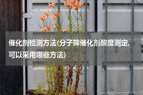 催化剂检测方法(分子筛催化剂酸度测定,可以采用哪些方法)