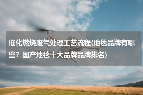 催化燃烧废气处理工艺流程(地毯品牌有哪些？国产地毯十大品牌品牌排名)