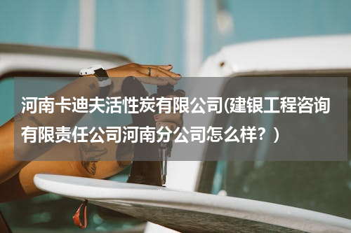 河南卡迪夫活性炭有限公司(建银工程咨询有限责任公司河南分公司怎么样？)