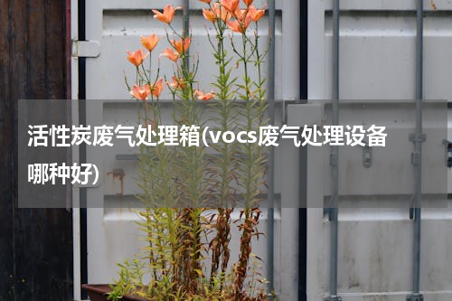 活性炭废气处理箱(vocs废气处理设备哪种好)