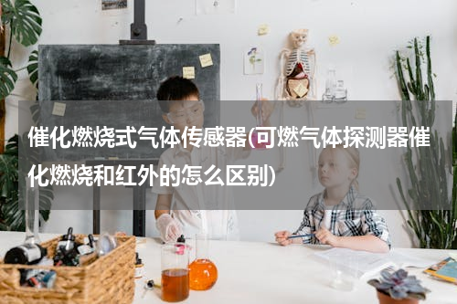 催化燃烧式气体传感器(可燃气体探测器催化燃烧和红外的怎么区别)