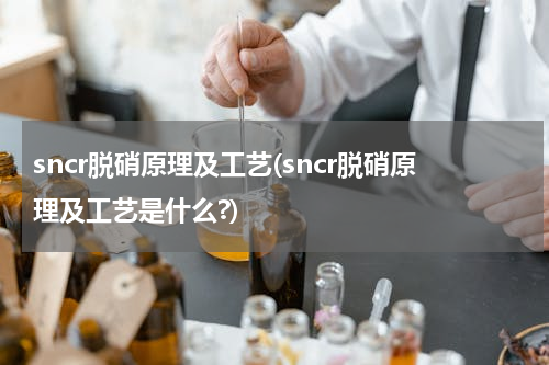 sncr脱硝原理及工艺(sncr脱硝原理及工艺是什么?)