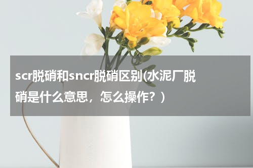 scr脱硝和sncr脱硝区别(水泥厂脱硝是什么意思，怎么操作？)