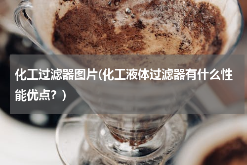 化工过滤器图片(化工液体过滤器有什么性能优点？)