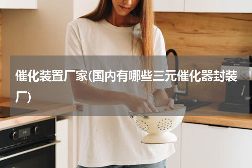 催化装置厂家(国内有哪些三元催化器封装厂)