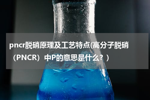 pncr脱硝原理及工艺特点(高分子脱硝（PNCR）中P的意思是什么？)