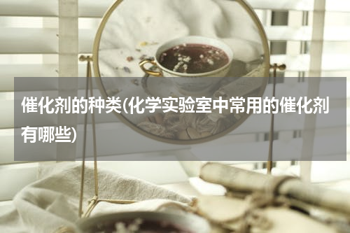 催化剂的种类(化学实验室中常用的催化剂有哪些)