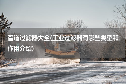 管道过滤器大全(工业过滤器有哪些类型和作用介绍)