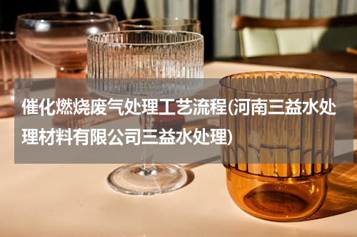 催化燃烧废气处理工艺流程(河南三益水处理材料有限公司三益水处理)