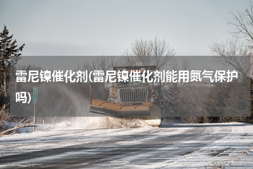 雷尼镍催化剂(雷尼镍催化剂能用氮气保护吗)