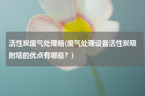 活性炭废气处理箱(废气处理设备活性炭吸附塔的优点有哪些？)