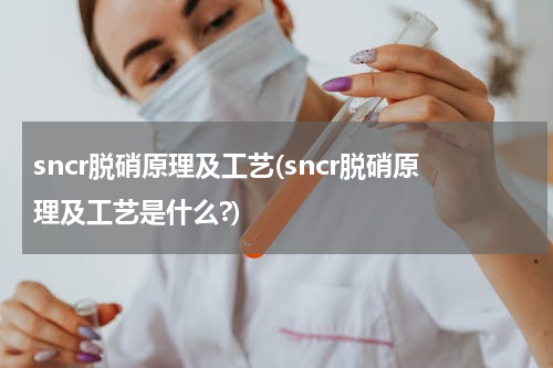 sncr脱硝原理及工艺(sncr脱硝原理及工艺是什么?)