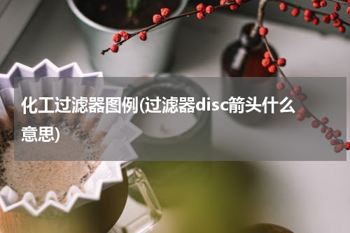化工过滤器图例(过滤器disc箭头什么意思)