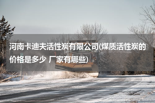 河南卡迪夫活性炭有限公司(煤质活性炭的价格是多少 厂家有哪些)