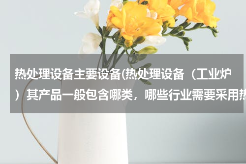 热处理设备主要设备(热处理设备（工业炉）其产品一般包含哪类，哪些行业需要采用热处理工业炉设备。)