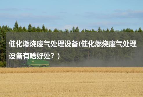 催化燃烧废气处理设备(催化燃烧废气处理设备有啥好处？)