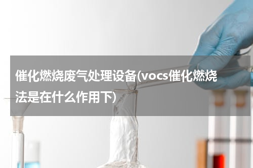 催化燃烧废气处理设备(vocs催化燃烧法是在什么作用下)