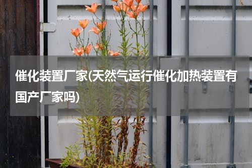 催化装置厂家(天然气运行催化加热装置有国产厂家吗)