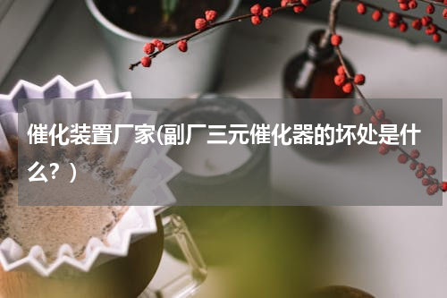 催化装置厂家(副厂三元催化器的坏处是什么？)