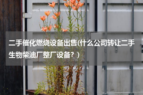 二手催化燃烧设备出售(什么公司转让二手生物柴油厂整厂设备？)