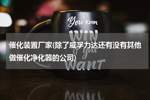 催化装置厂家(除了威孚力达还有没有其他做催化净化器的公司)