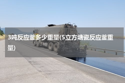 3吨反应釜多少重量(5立方塘瓷反应釜重量)