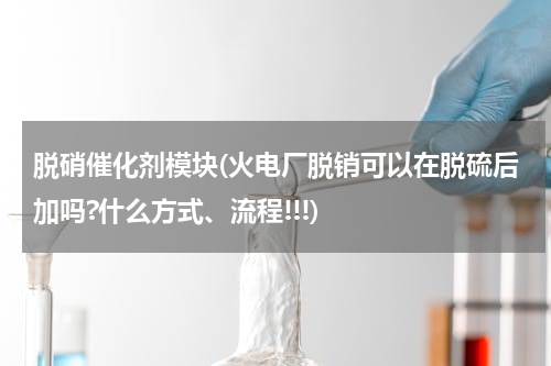 脱硝催化剂模块(火电厂脱销可以在脱硫后加吗?什么方式、流程!!!)