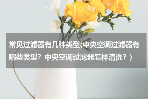 常见过滤器有几种类型(中央空调过滤器有哪些类型？中央空调过滤器怎样清洗？)