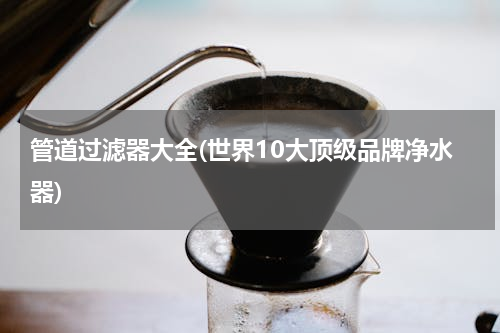 管道过滤器大全(世界10大顶级品牌净水器)