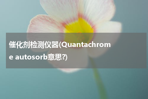 催化剂检测仪器(Quantachrome autosorb意思?)