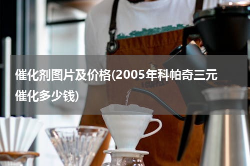 催化剂图片及价格(2005年科帕奇三元催化多少钱)