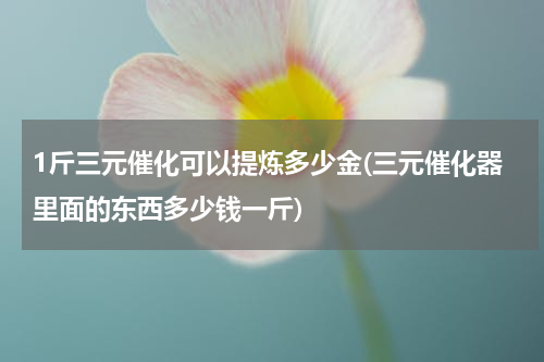 1斤三元催化可以提炼多少金(三元催化器里面的东西多少钱一斤)