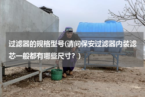 过滤器的规格型号(请问保安过滤器内装滤芯一般都有哪些尺寸？)