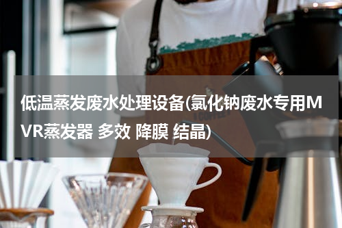 低温蒸发废水处理设备(氯化钠废水专用MVR蒸发器 多效 降膜 结晶)