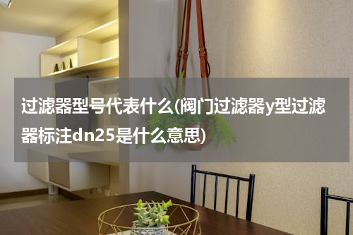 过滤器型号代表什么(阀门过滤器y型过滤器标注dn25是什么意思)
