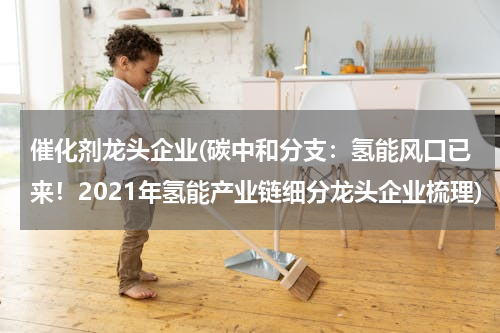 催化剂龙头企业(碳中和分支：氢能风口已来！2021年氢能产业链细分龙头企业梳理)