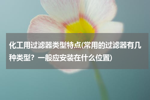 化工用过滤器类型特点(常用的过滤器有几种类型？一般应安装在什么位置)